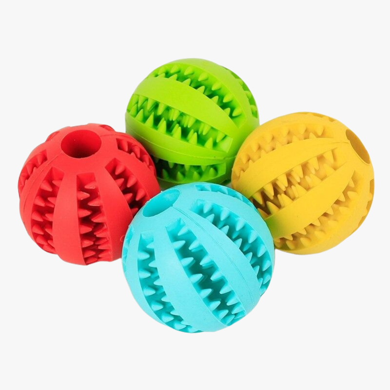 Les 4 coloris de la balle pour chien PLAY | Truviafit