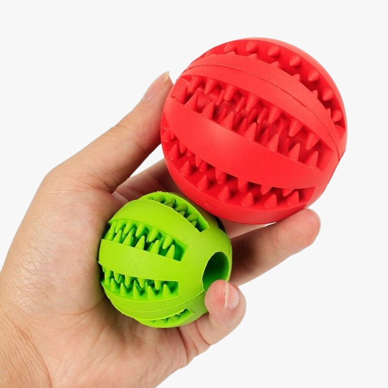 Balles pour chien PLAY de différentes tailles lors d'une saisie | Truviafit
