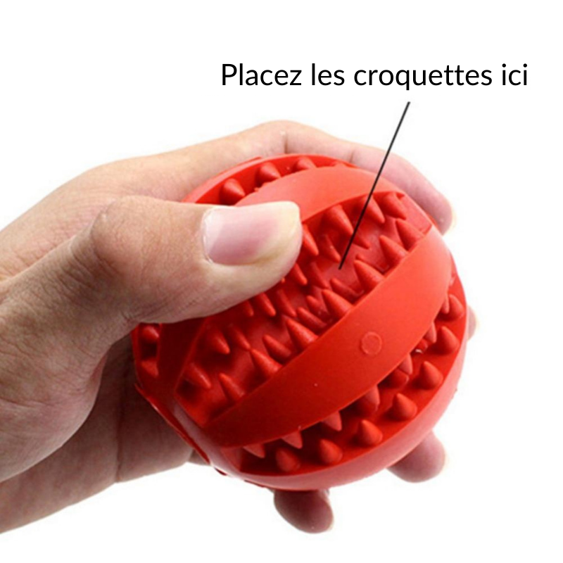 Utilisation de la balle pour chien PLAY | Truviafit