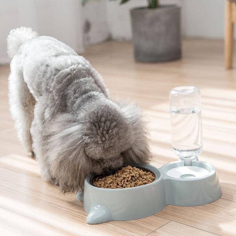 Bol-fontaine pour chien FEED / Vert opaline | Truviafit