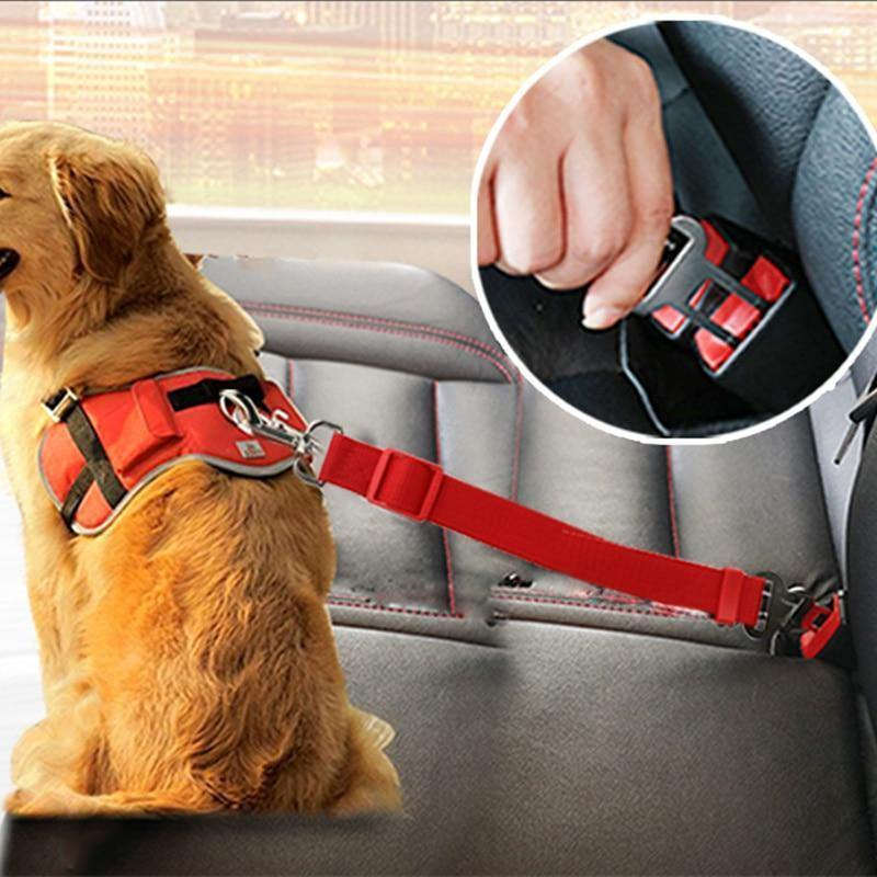 Ceinture de sécurité pour chien SAFE / Rouge | Truviafit