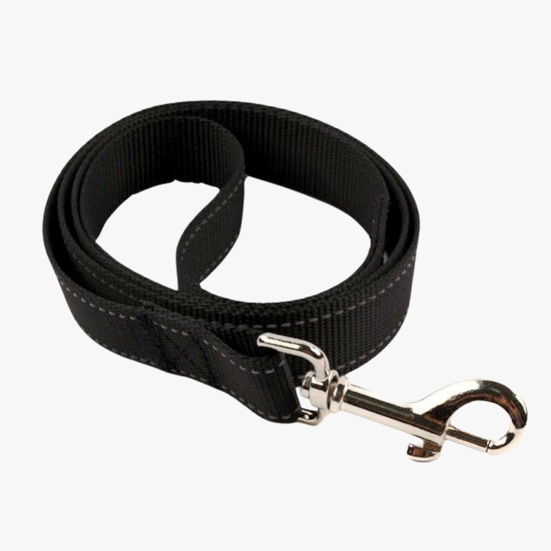Laisse offerte avec le harnais anti-traction pour chien STAY / Noir pur | Truviafit