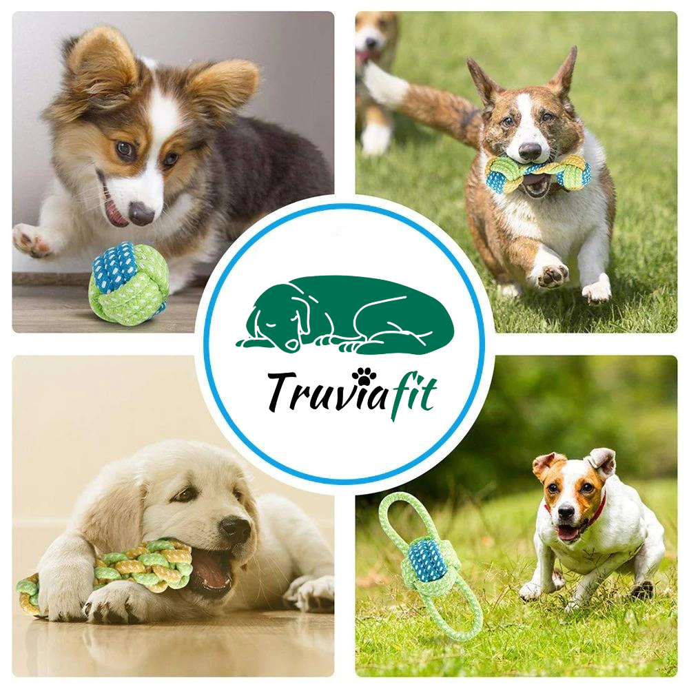 Pack de 7 jouets pour chien FUN / Vert / Bleu / Jaune  | Truviafit