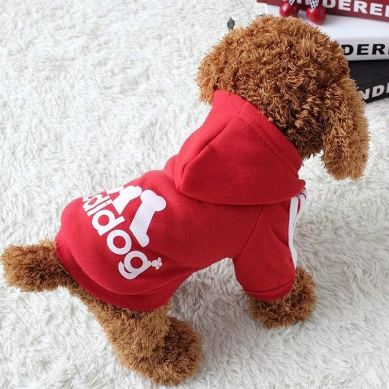 Pull pour chien CHILL / Rouge coquelicot | Truviafit