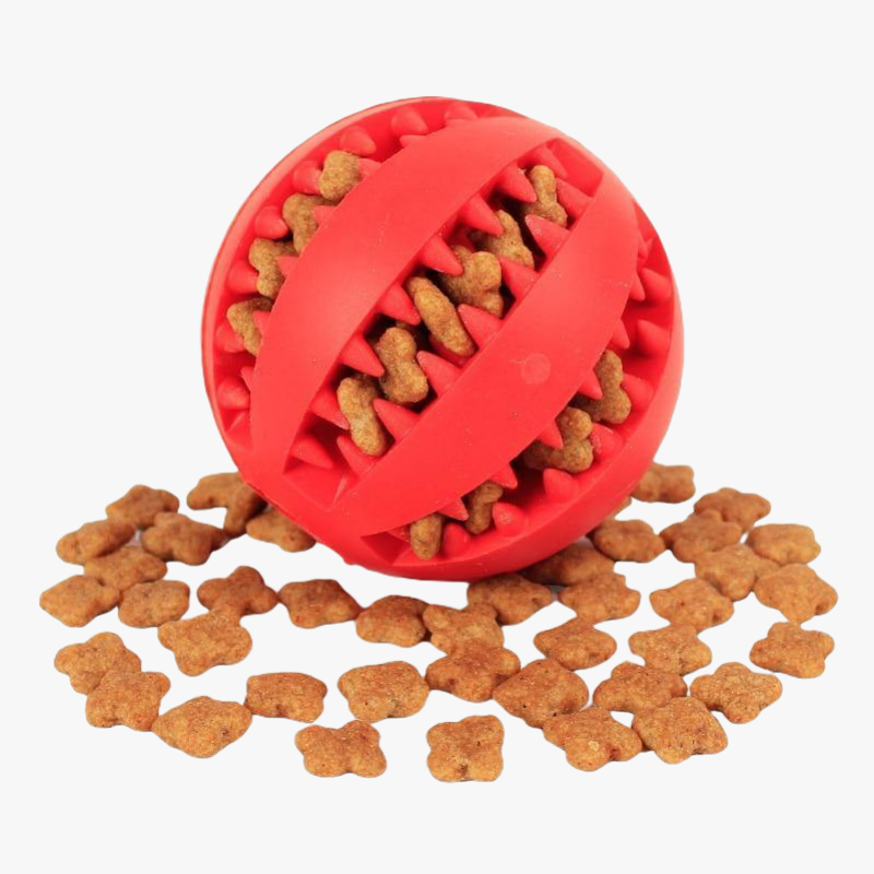 Balle pour chien PLAY / Rouge coquelicot | Truviafit