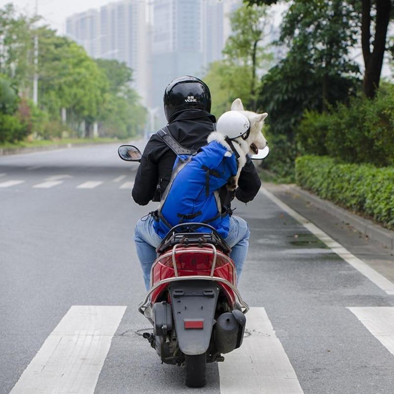 Sac de transport pour chien KING avec un chien sur une moto / Noir anthracite | Truviafit